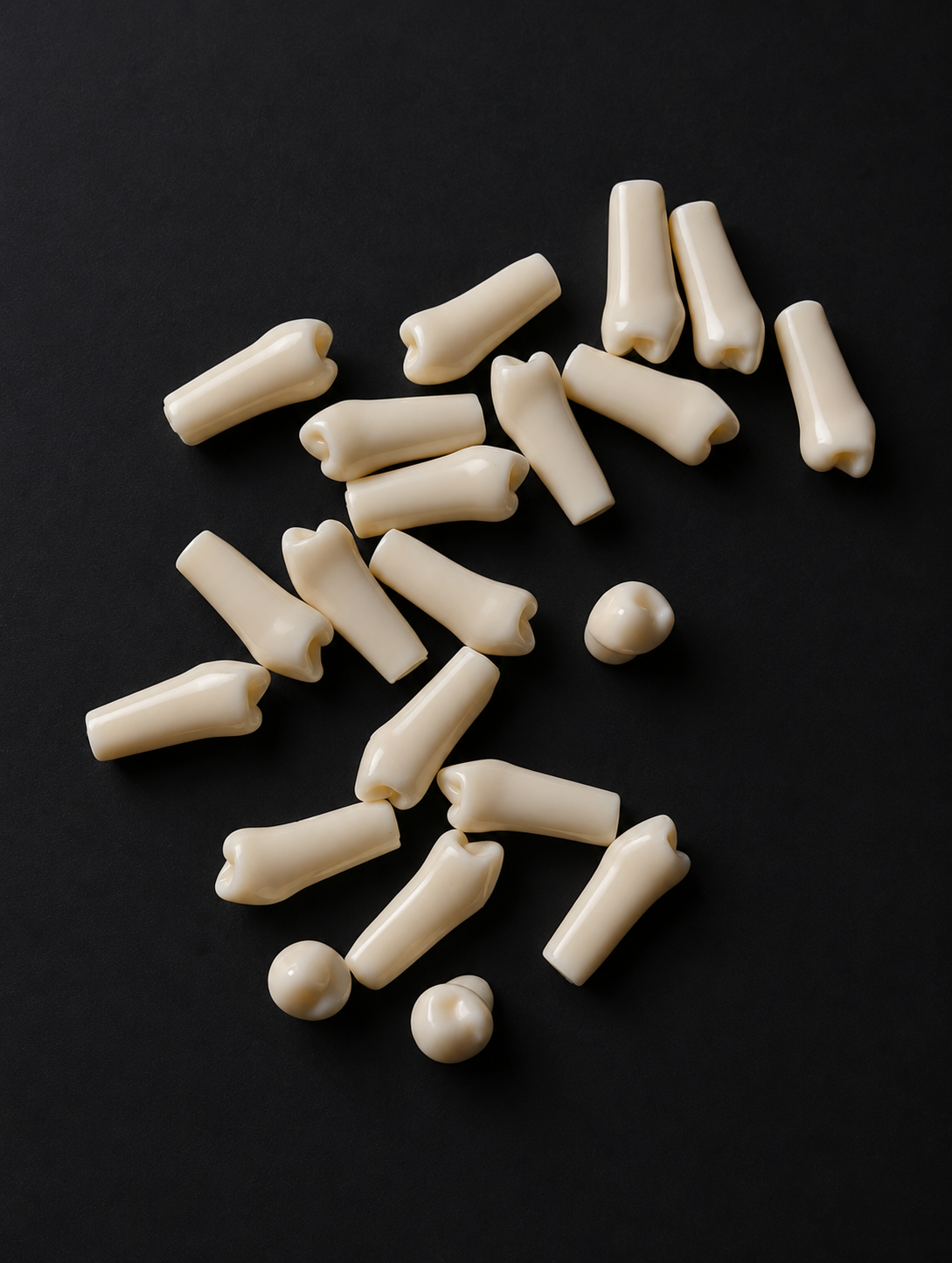 Lower / Mandibular Premolars Typodont – Phantom Head Teeth & Japanese Teeth