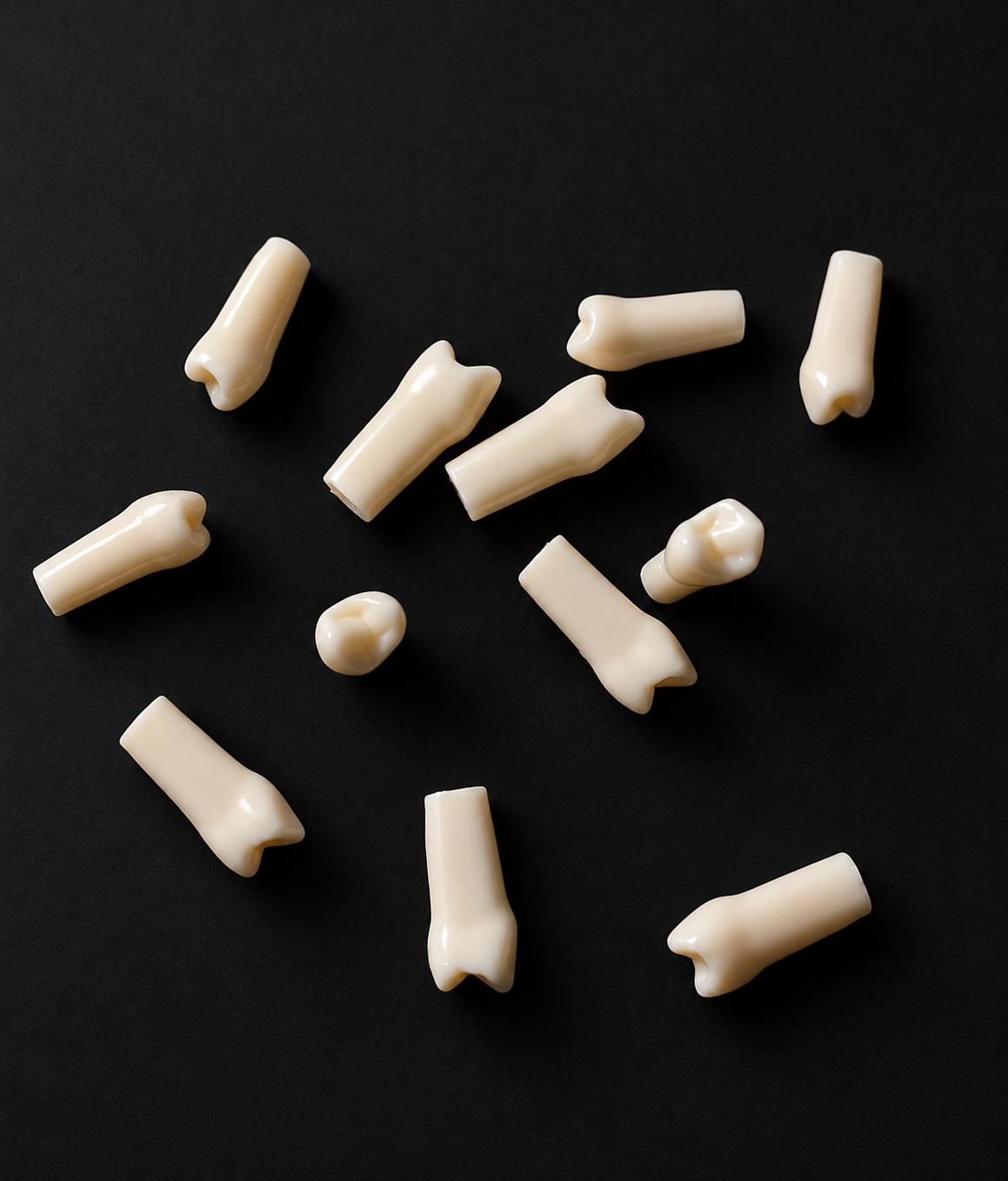 Upper / Maxillary Premolars Typodont – Phantom Head Teeth & Japanese Teeth