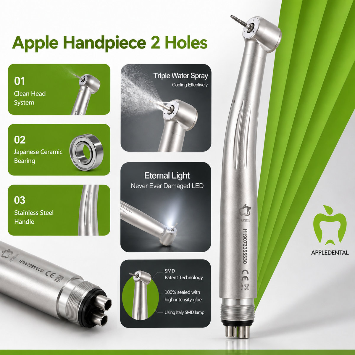 Apple Dental Handpiece 2 Holes | High-Speed LED Dental Handpiece