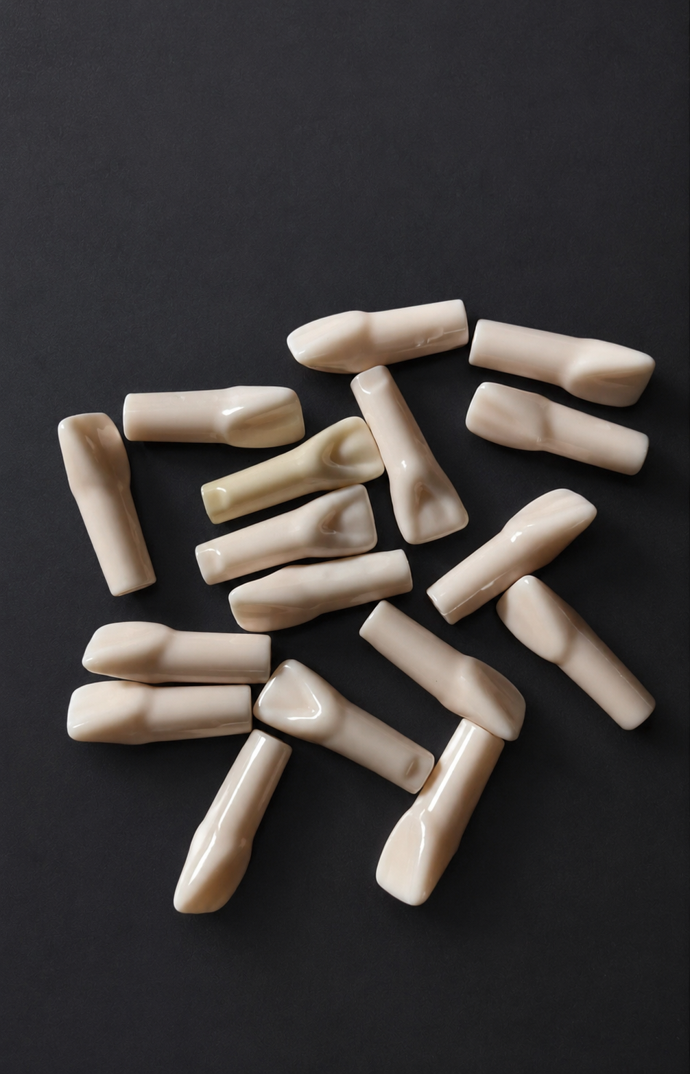 Central Incissors Typodont, Phantom Head Teeth & Japanese Teeth | Make You a Better Clinician
